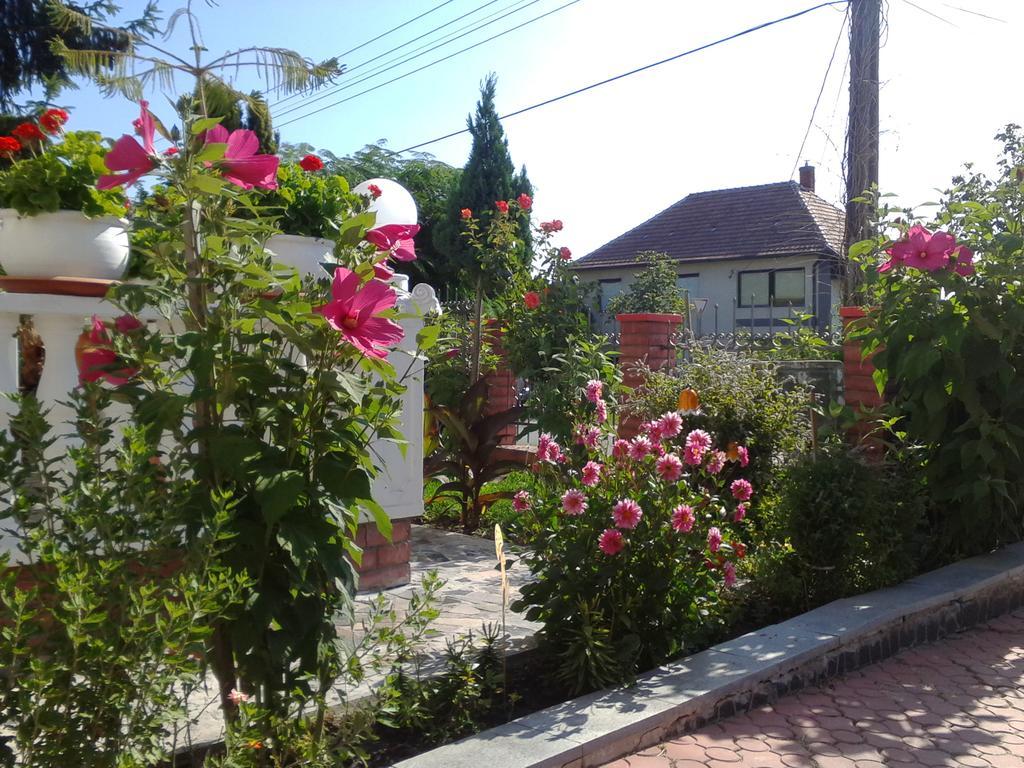 Kristaly Apartman Bed and Breakfast Hévíz Exterior foto